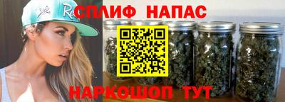 амф Обь