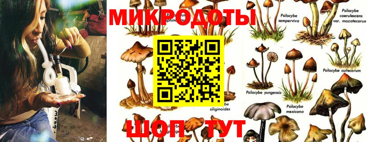 Солнечногорск  Псилоцибиновые грибы мухоморы  купить   Вход с VPN 